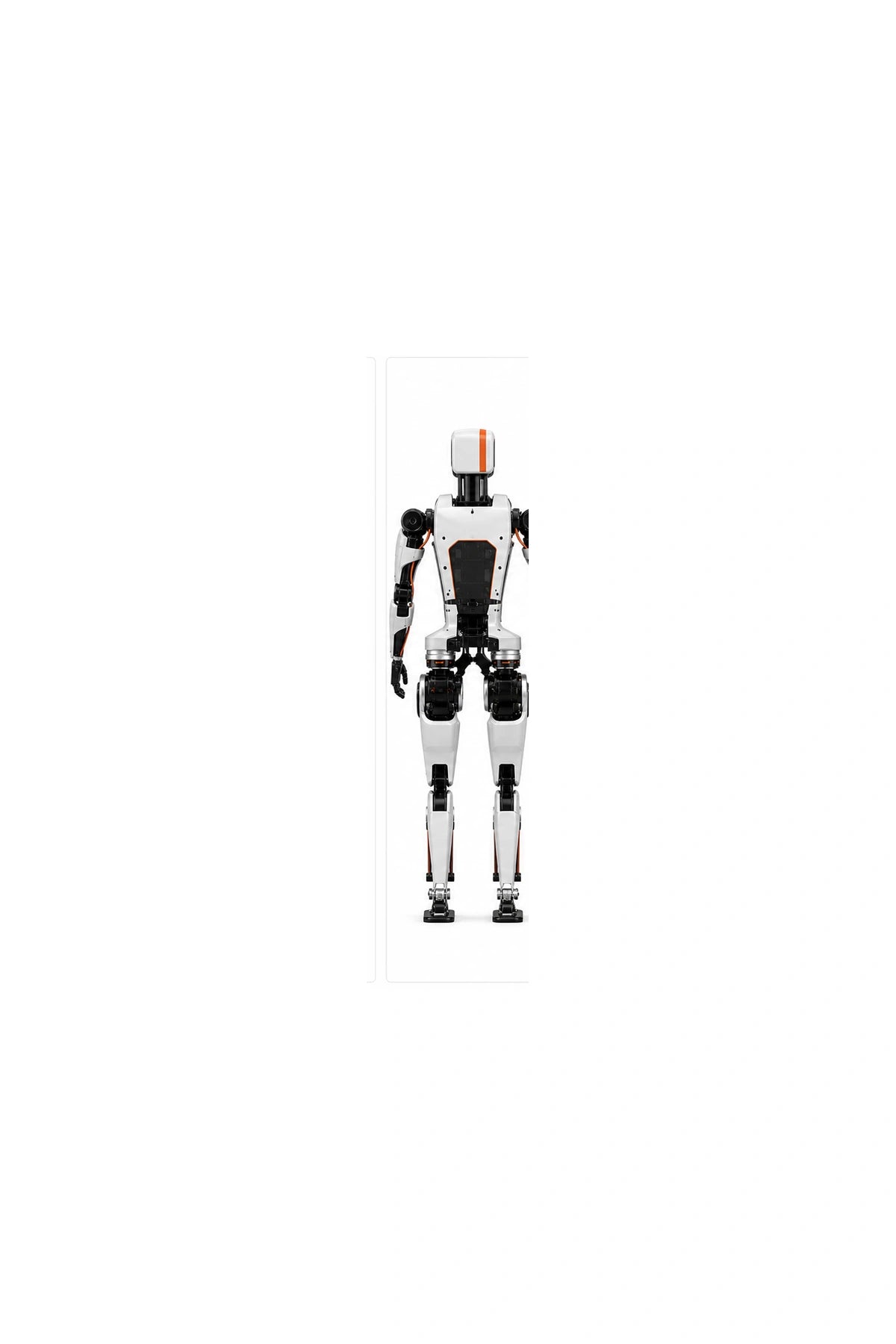 Limx Rear/Back View