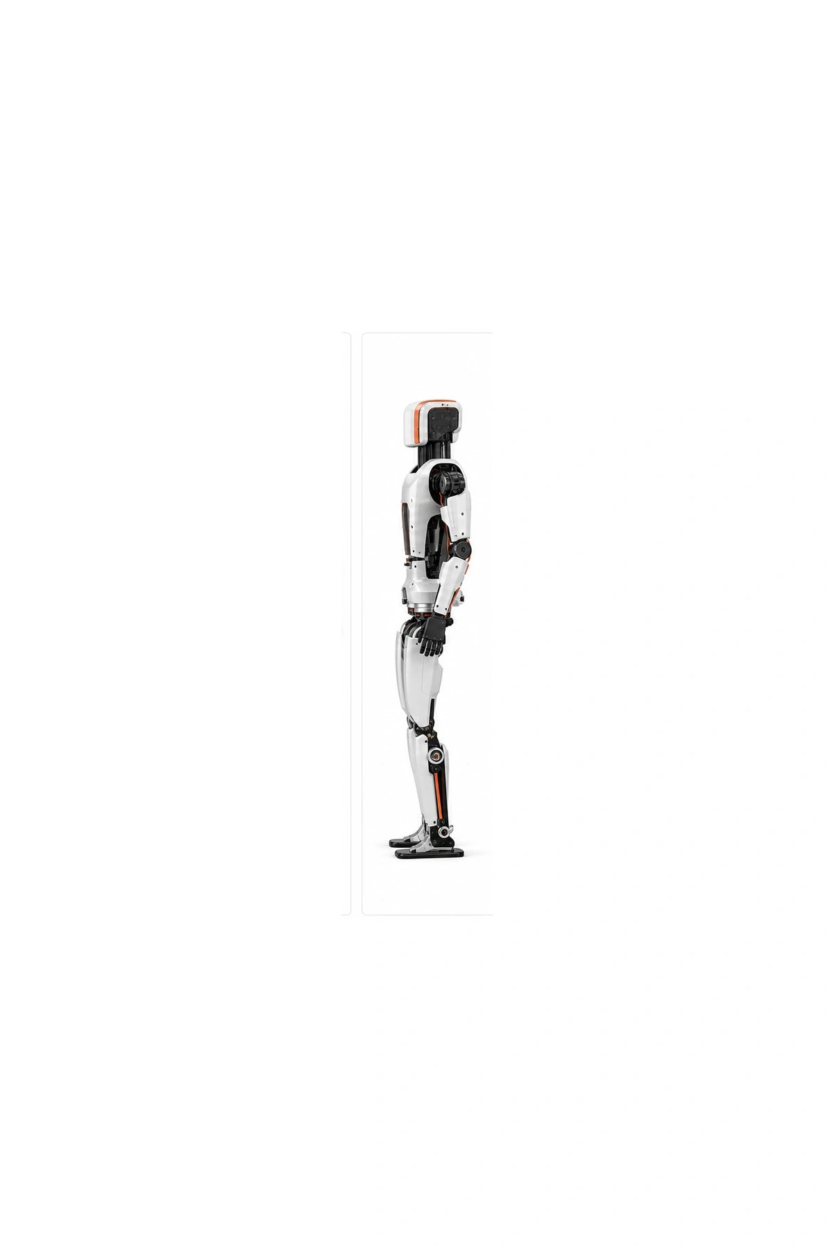 Limx Side view