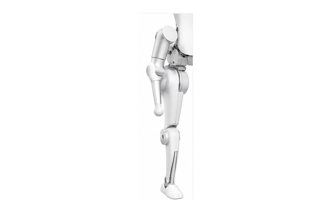 N2 Arm and leg detail