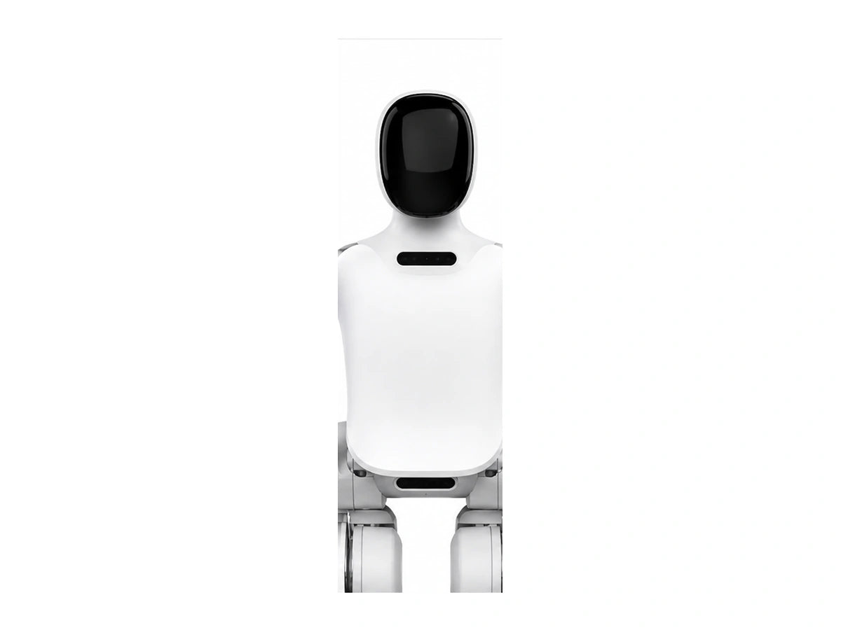 N2 Head/Torso View