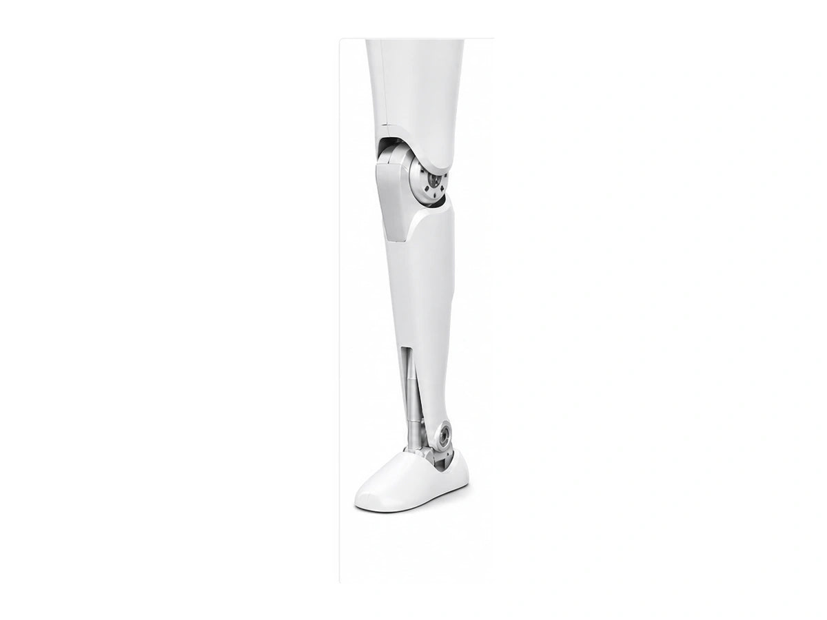 N2 Leg View