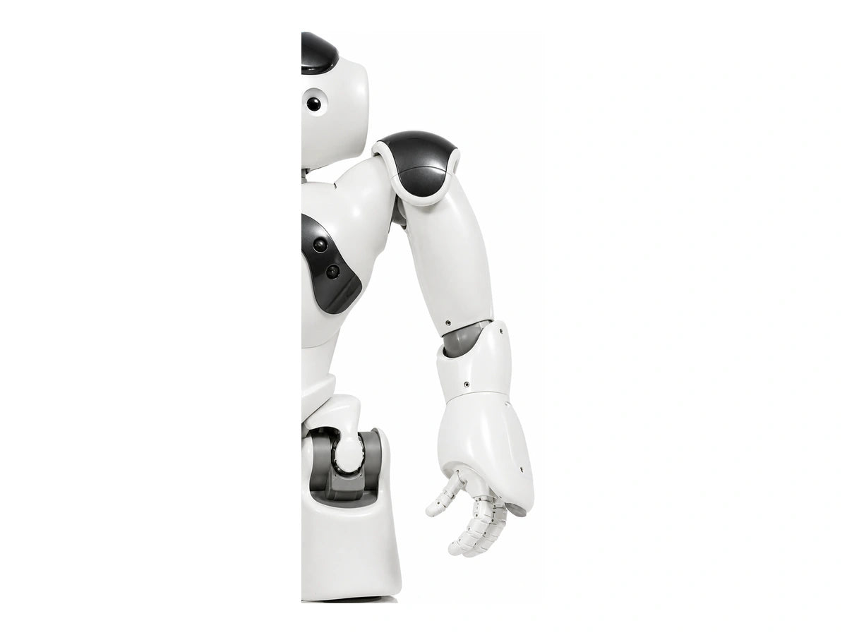 NAO Arm View