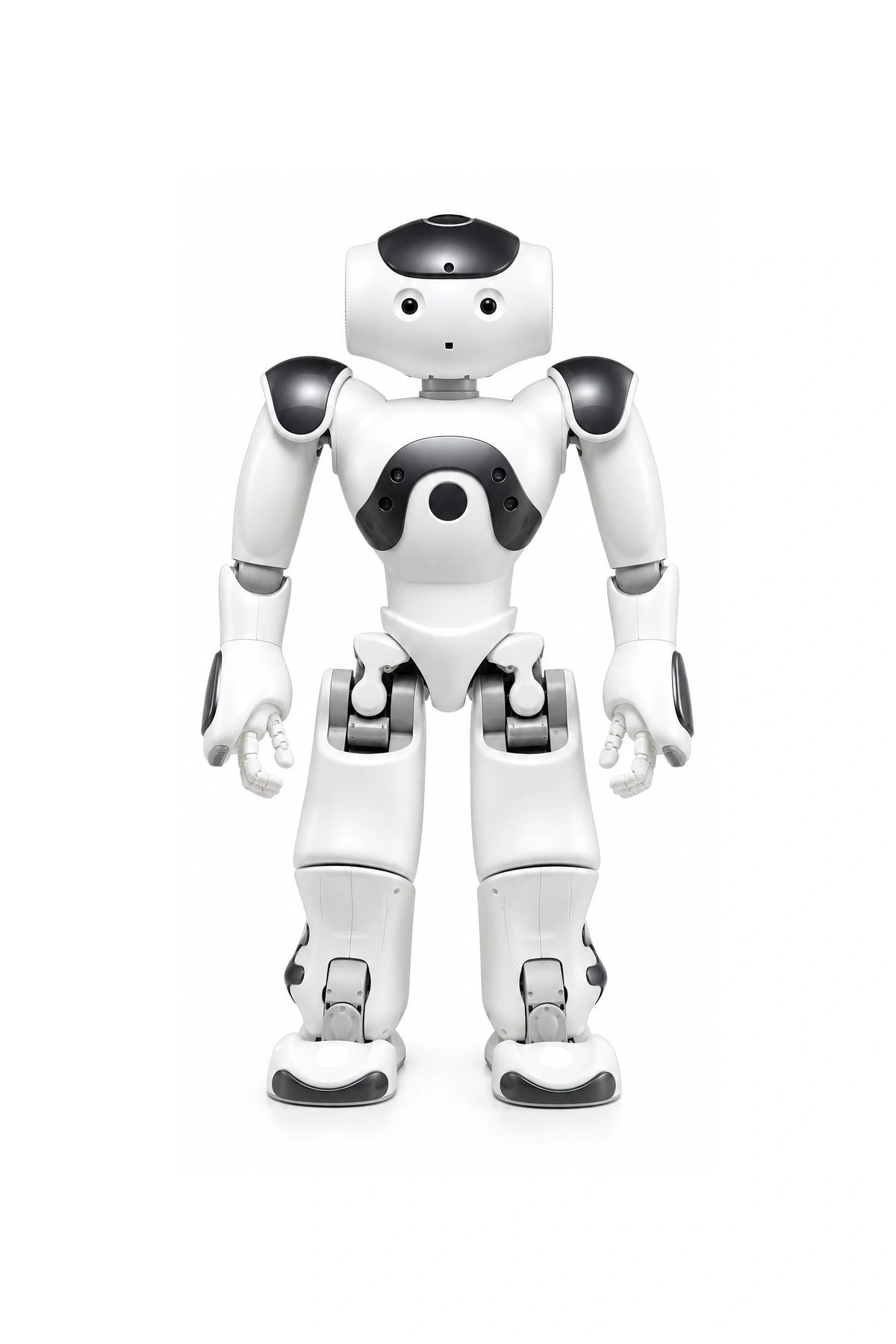 NAO Front View