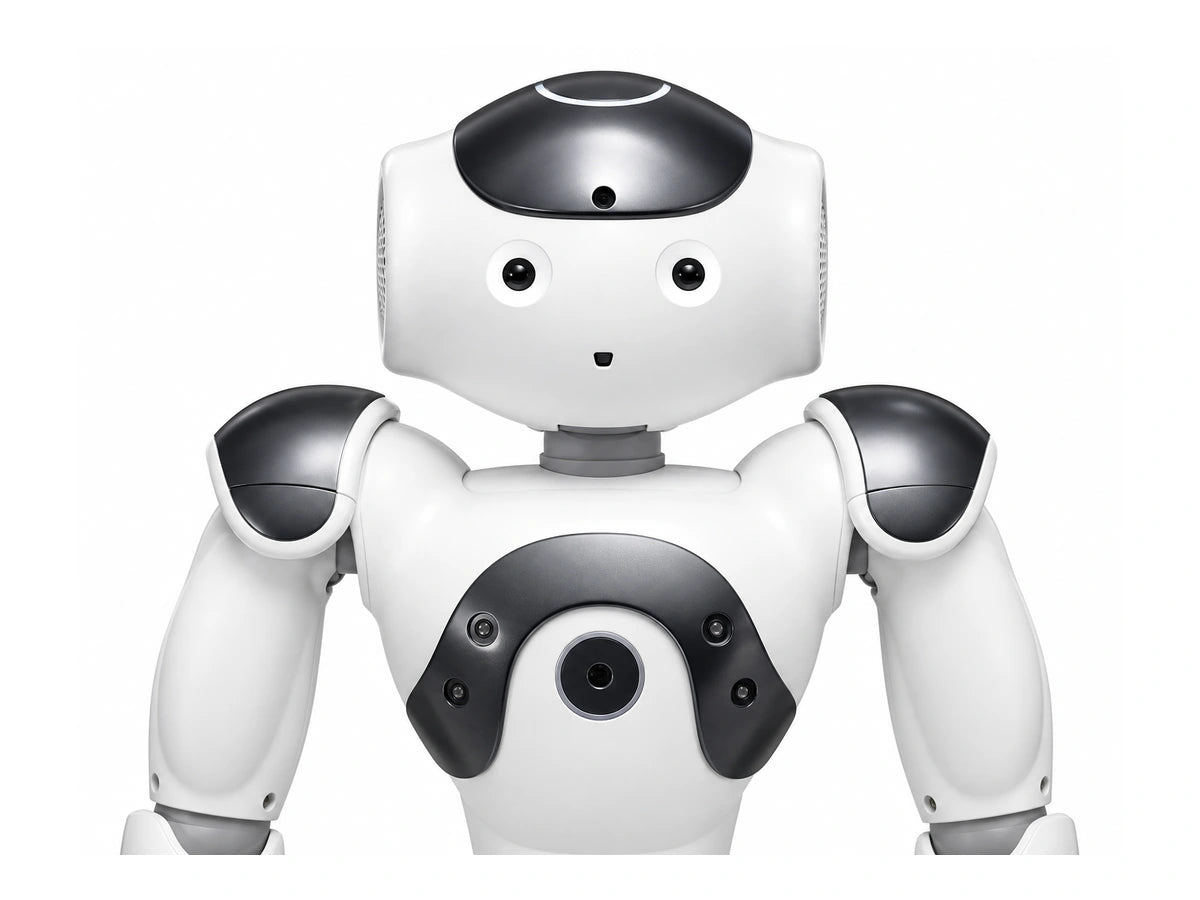 NAO Head/Torso View