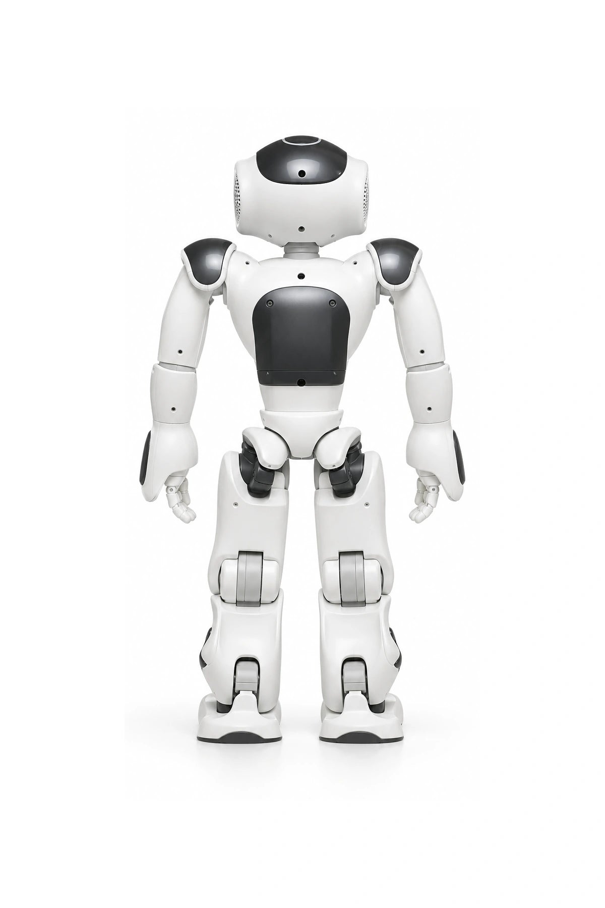 NAO Rear view