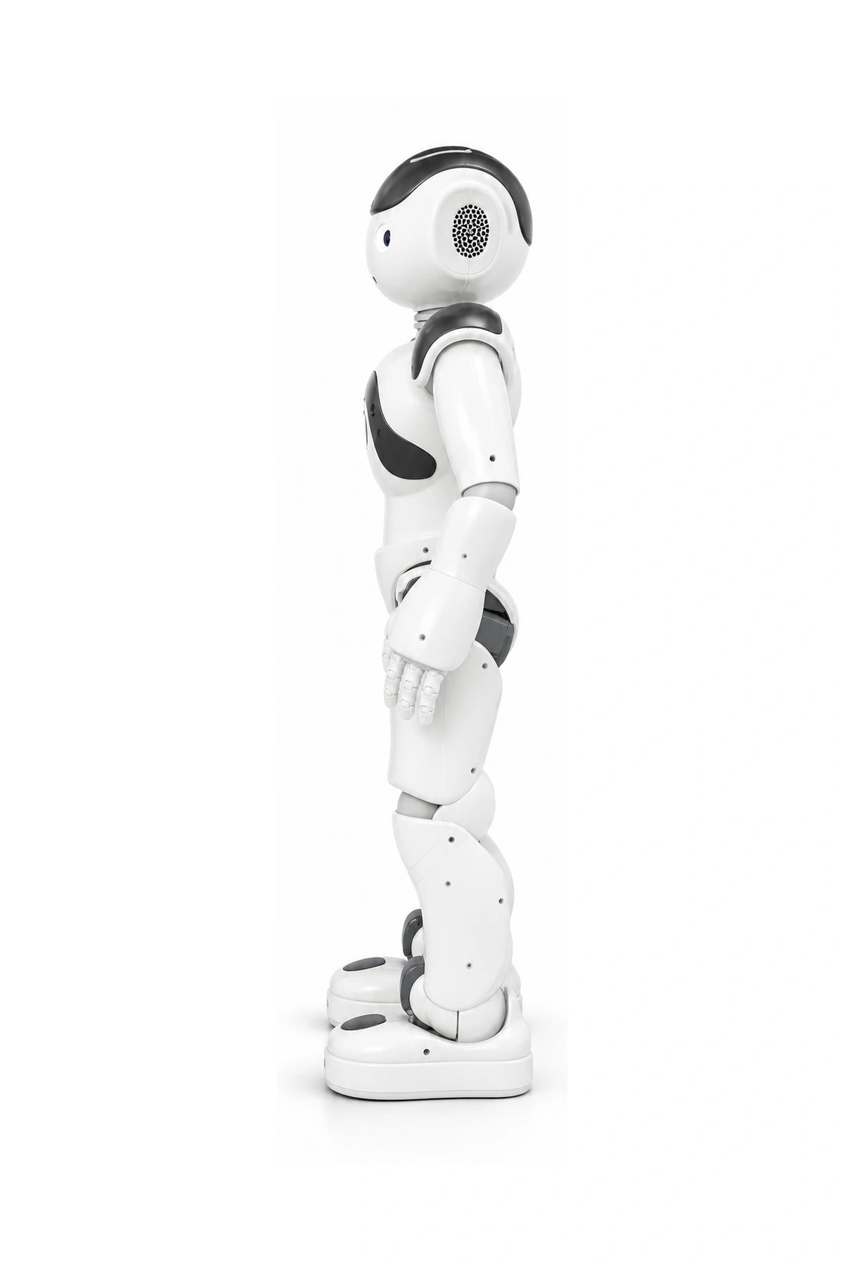 NAO Side View