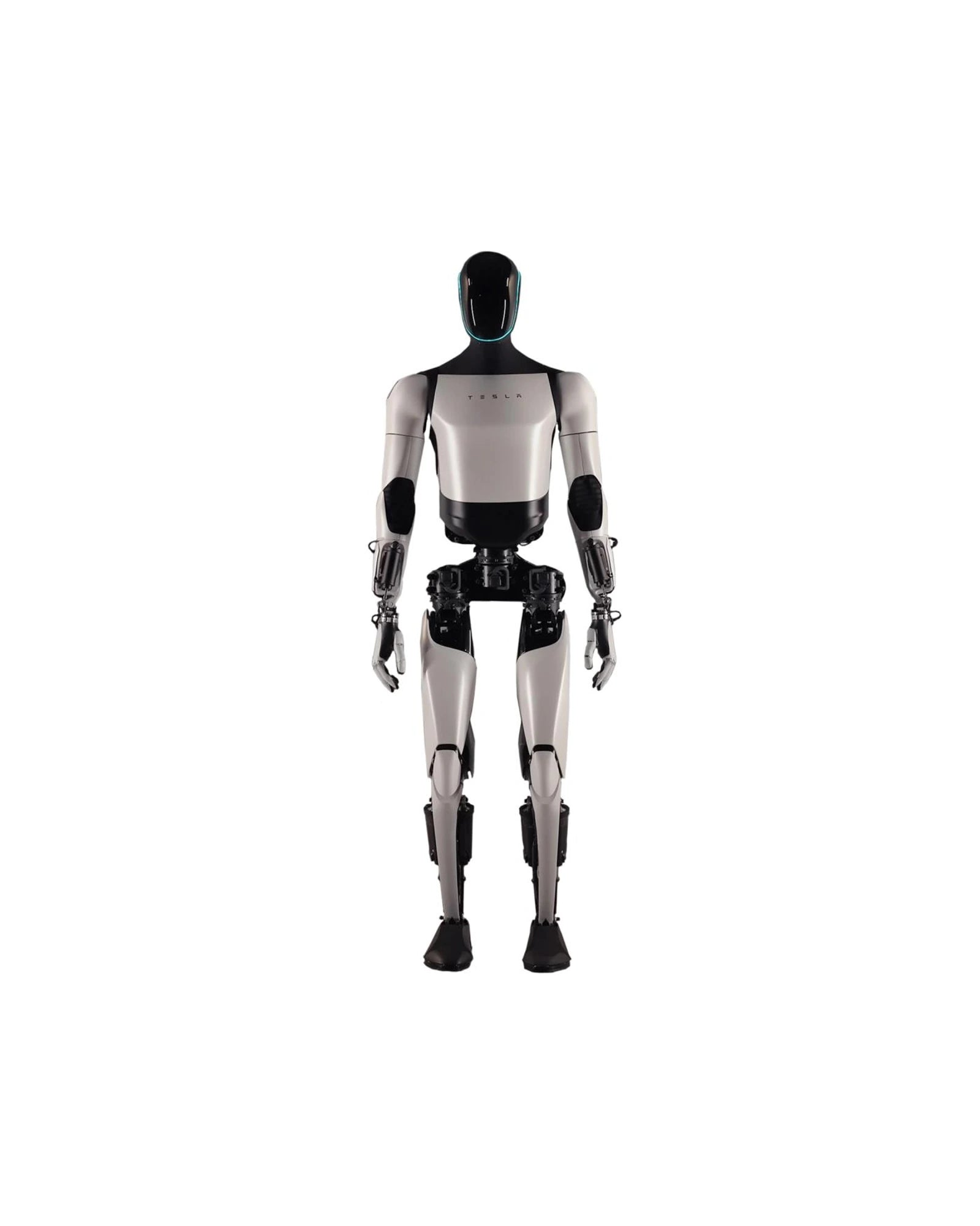 Tesla Optimus Hero Image
