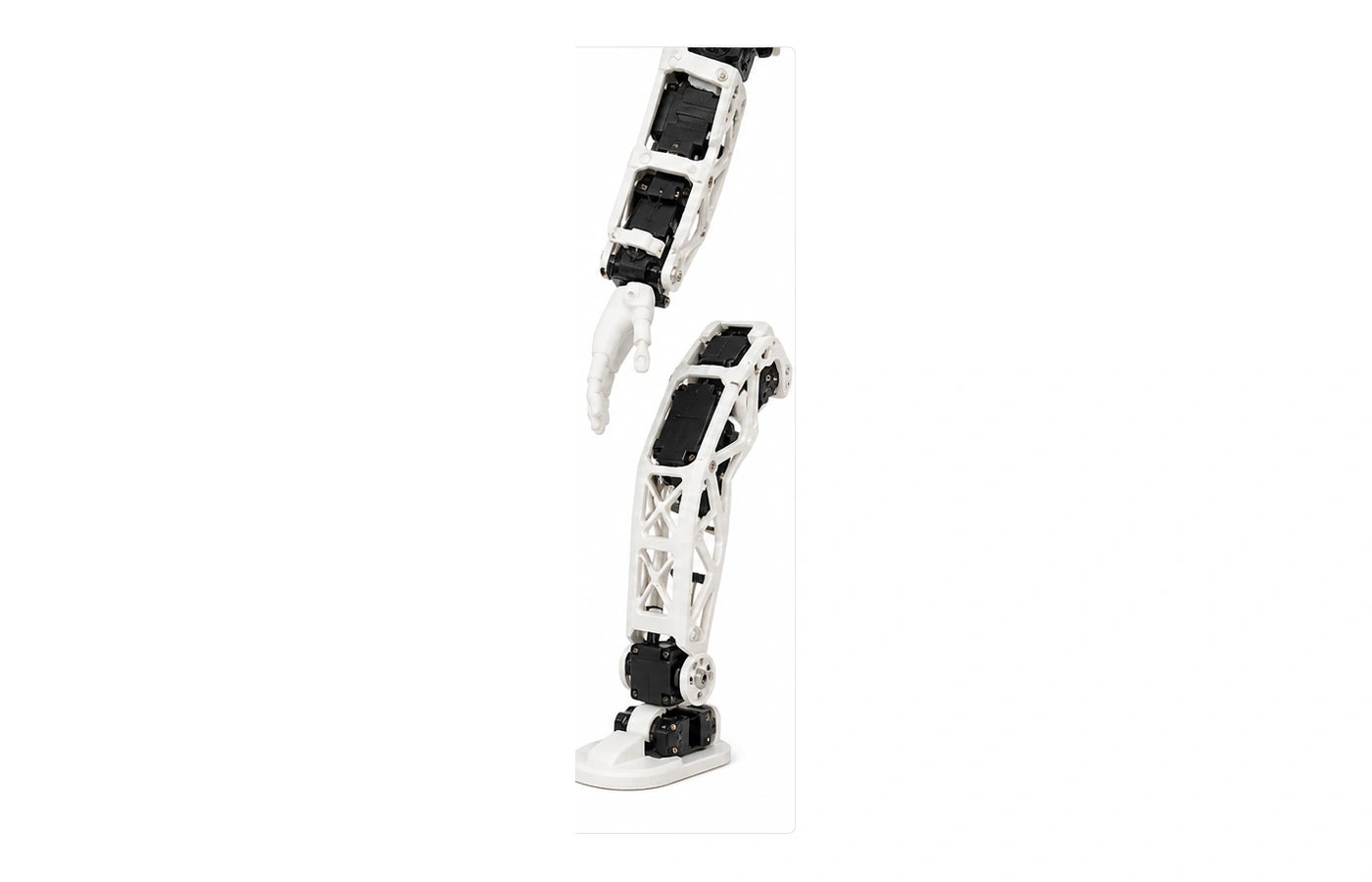Poppy Humanoid Arm and leg detail