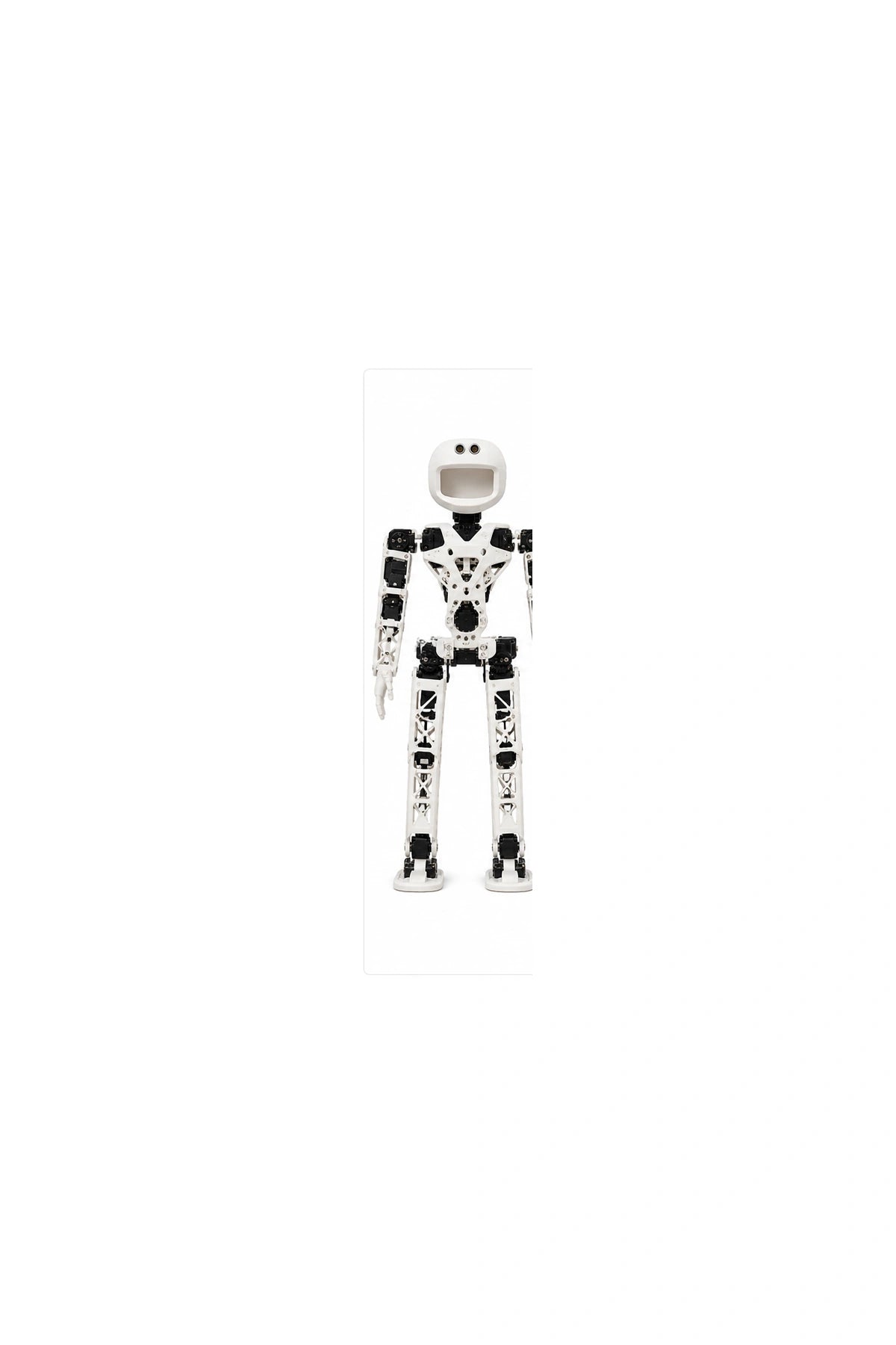 Poppy Humanoid Front View