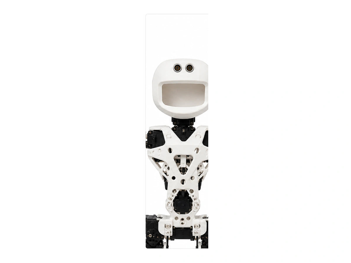 Poppy Humanoid Head/Torso View