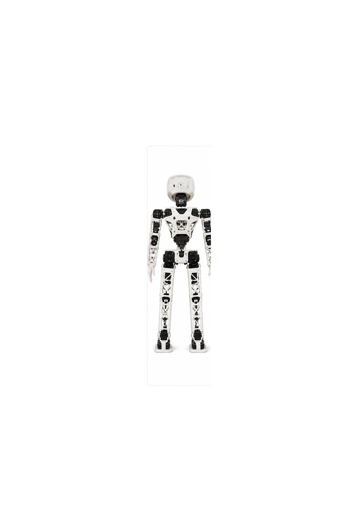 Poppy Humanoid Rear view
