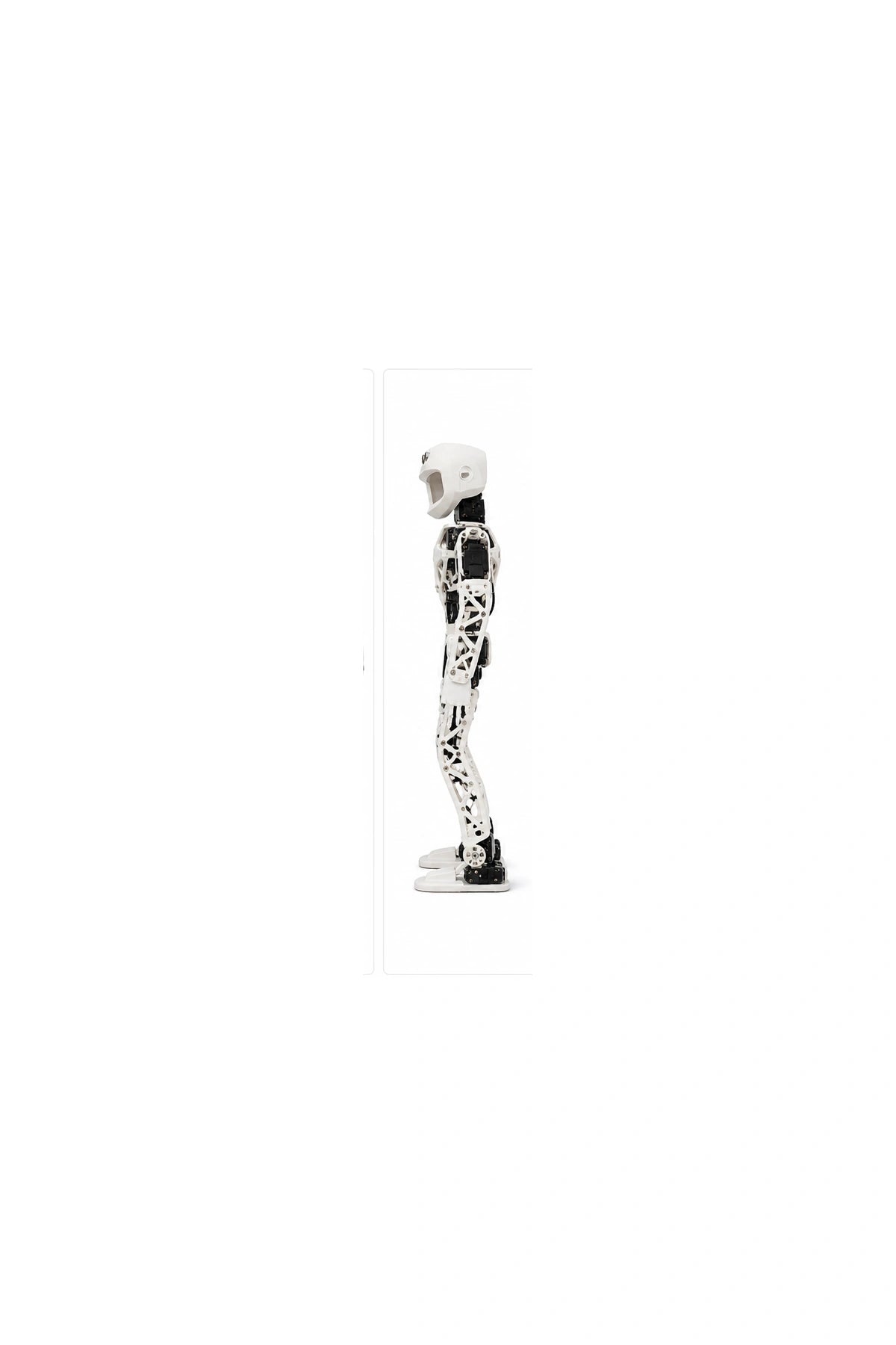 Poppy Humanoid Side View
