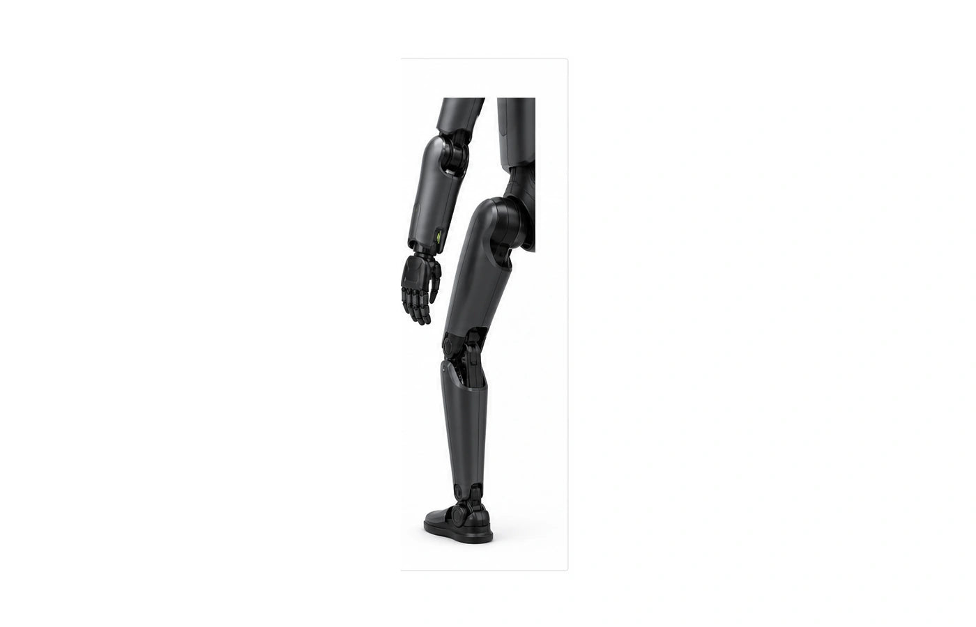 Px5 Arm and leg detail