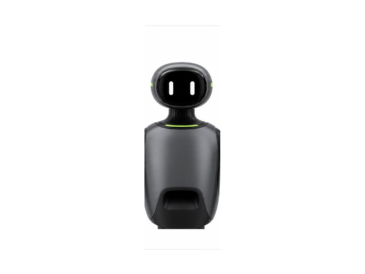 Px5 Head/Torso View