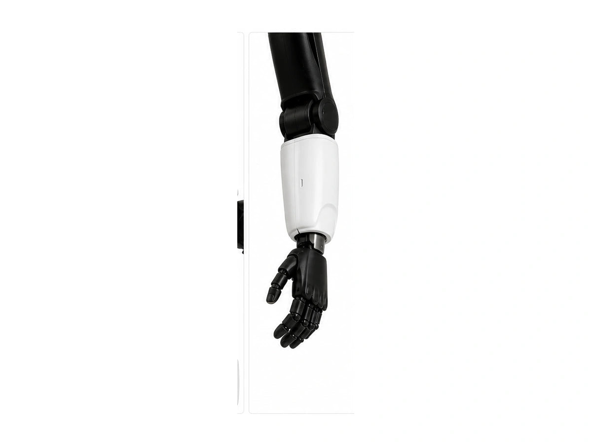 REEM-C Arm View