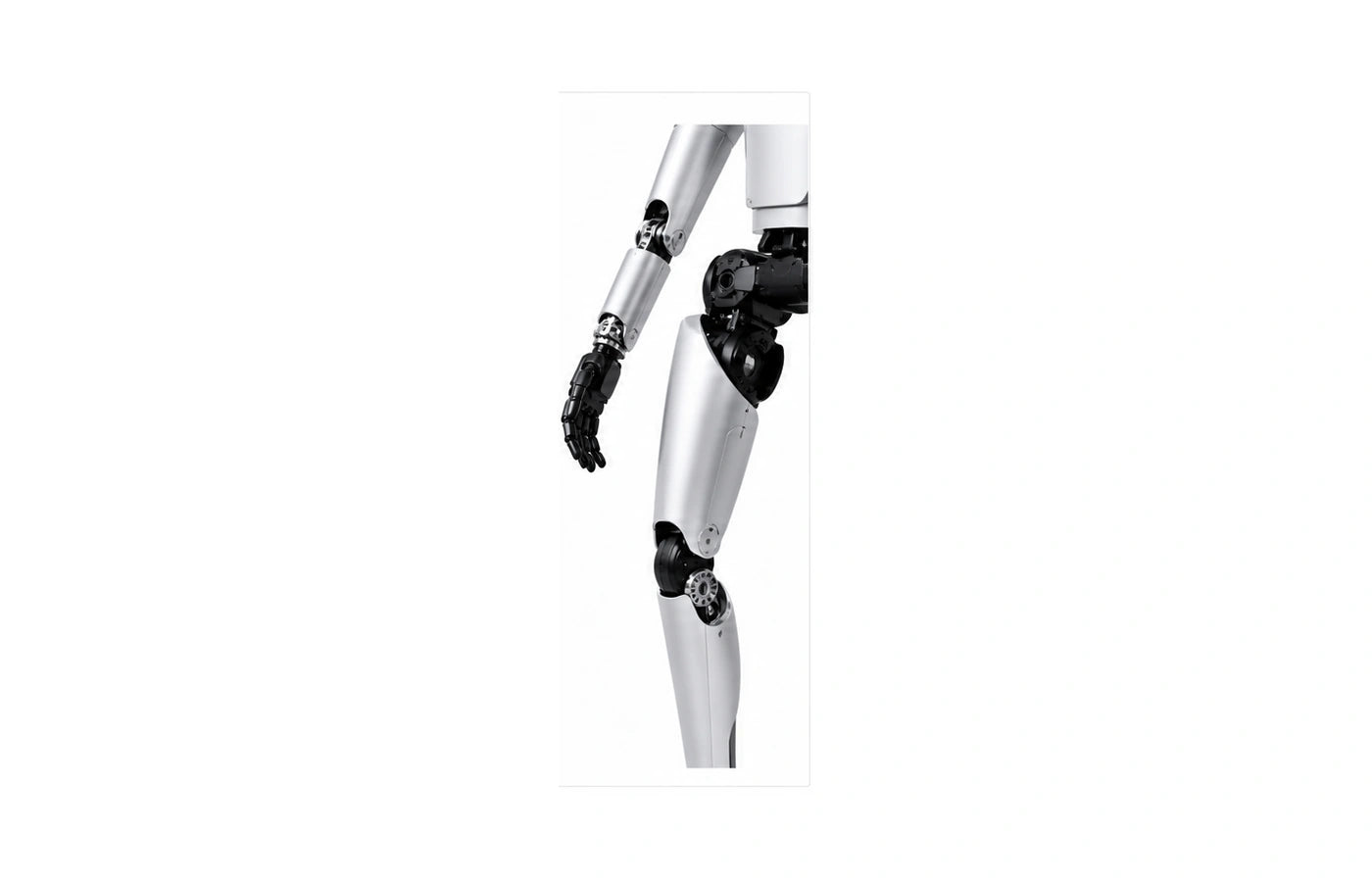 Robotera L7 Arm detail