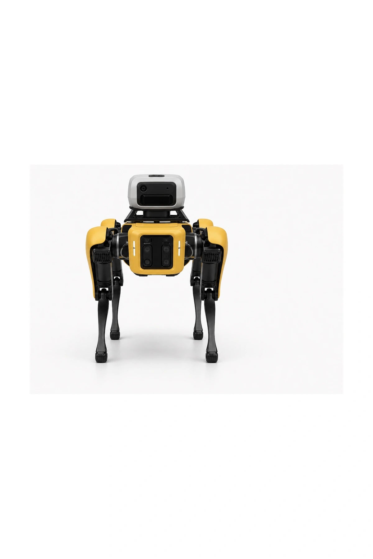Spot Front view