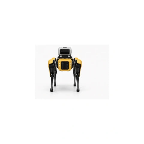 Spot Square Image