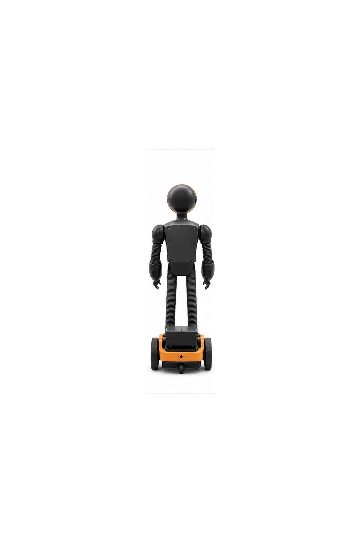 Steve Rear view