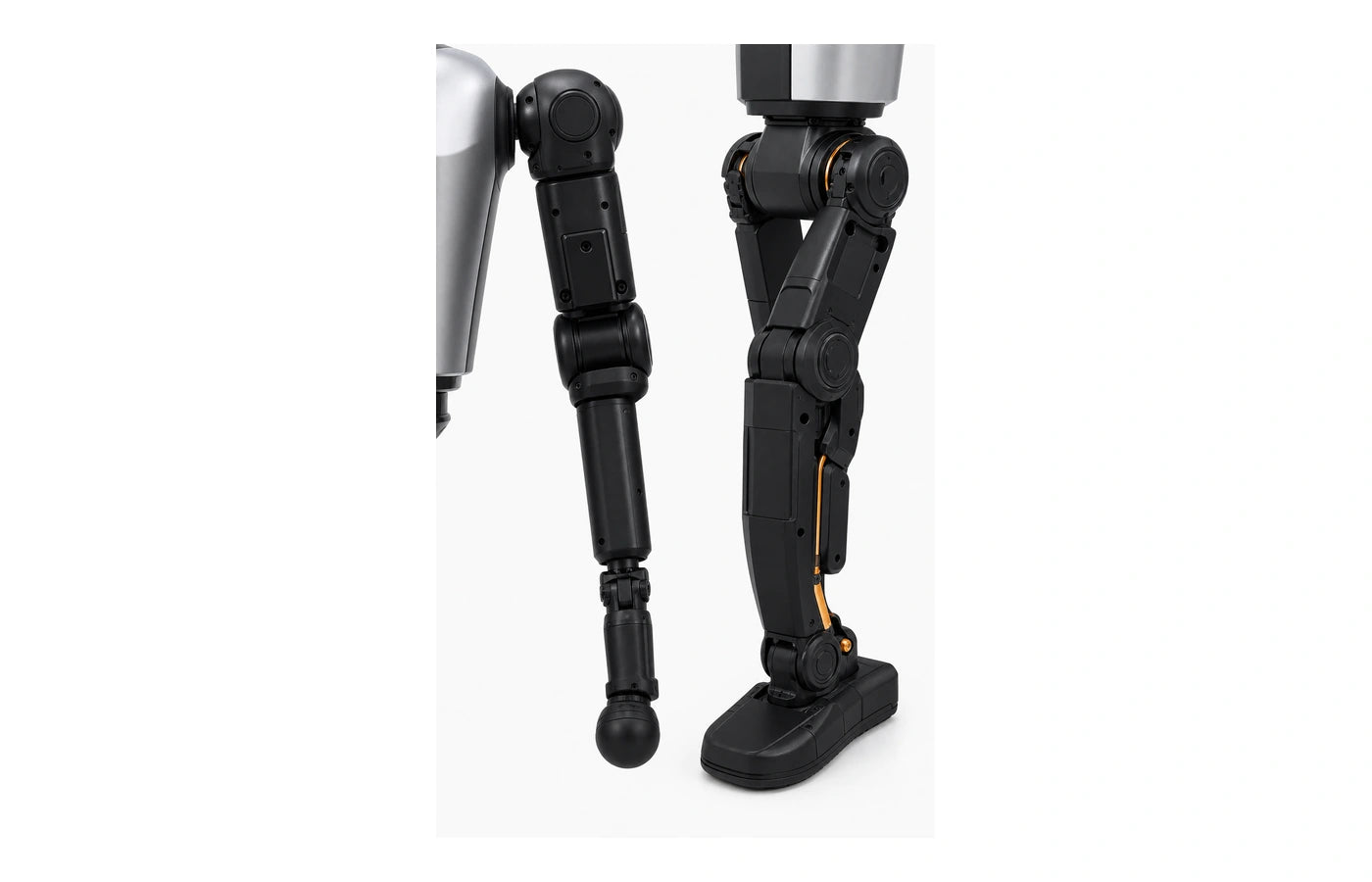 T1 Basic Arm detail