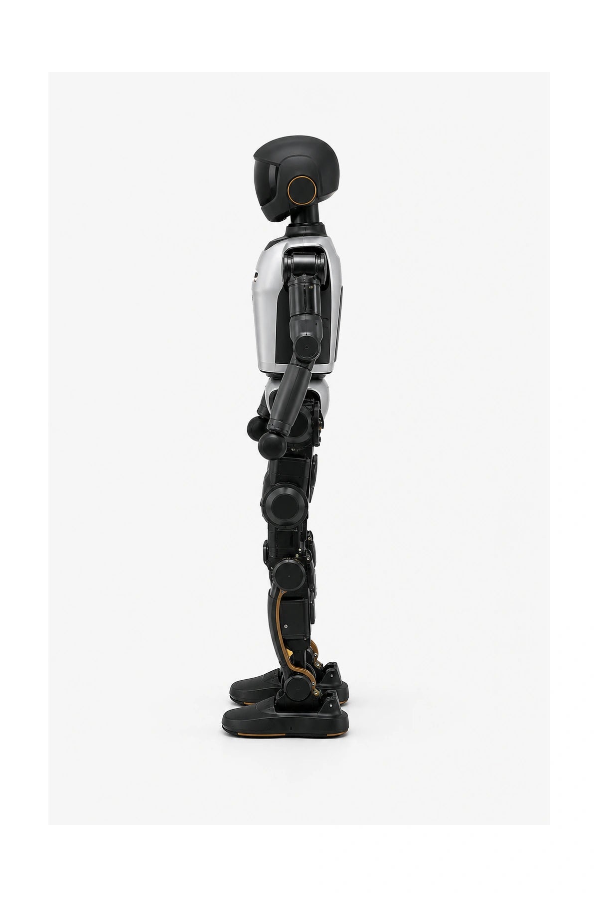 T1 Basic Side View