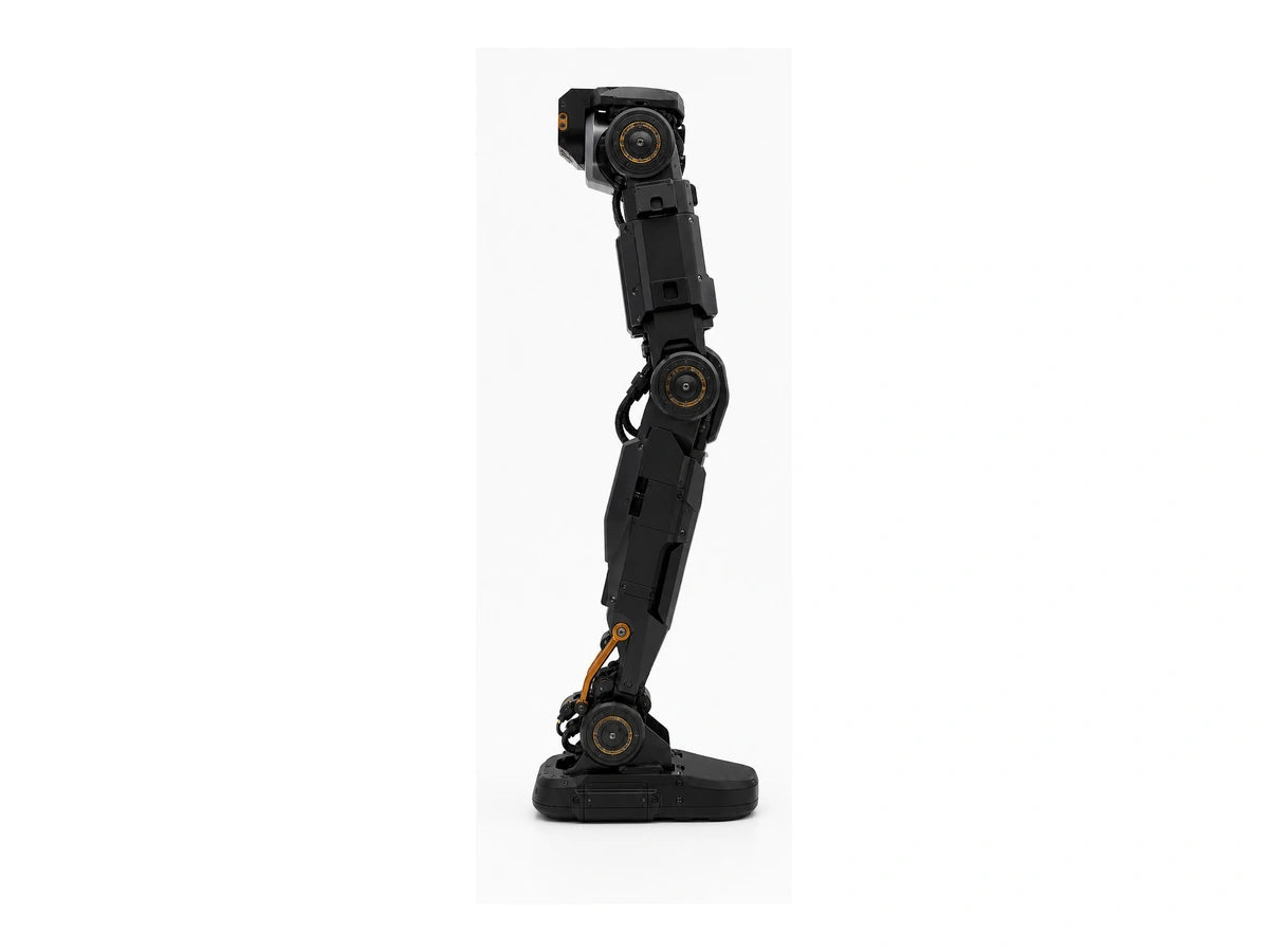T1 Standard Leg View
