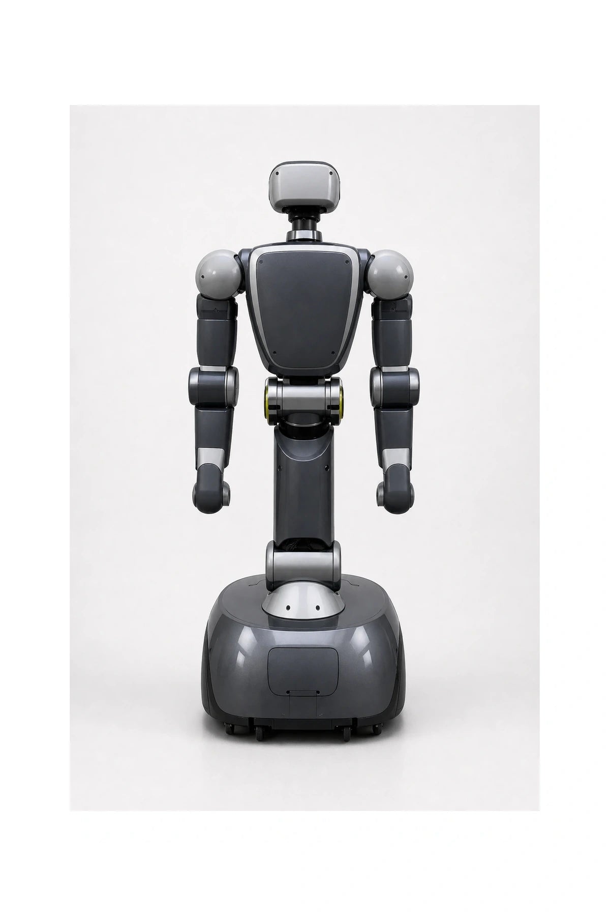 Torobo Rear/Back View