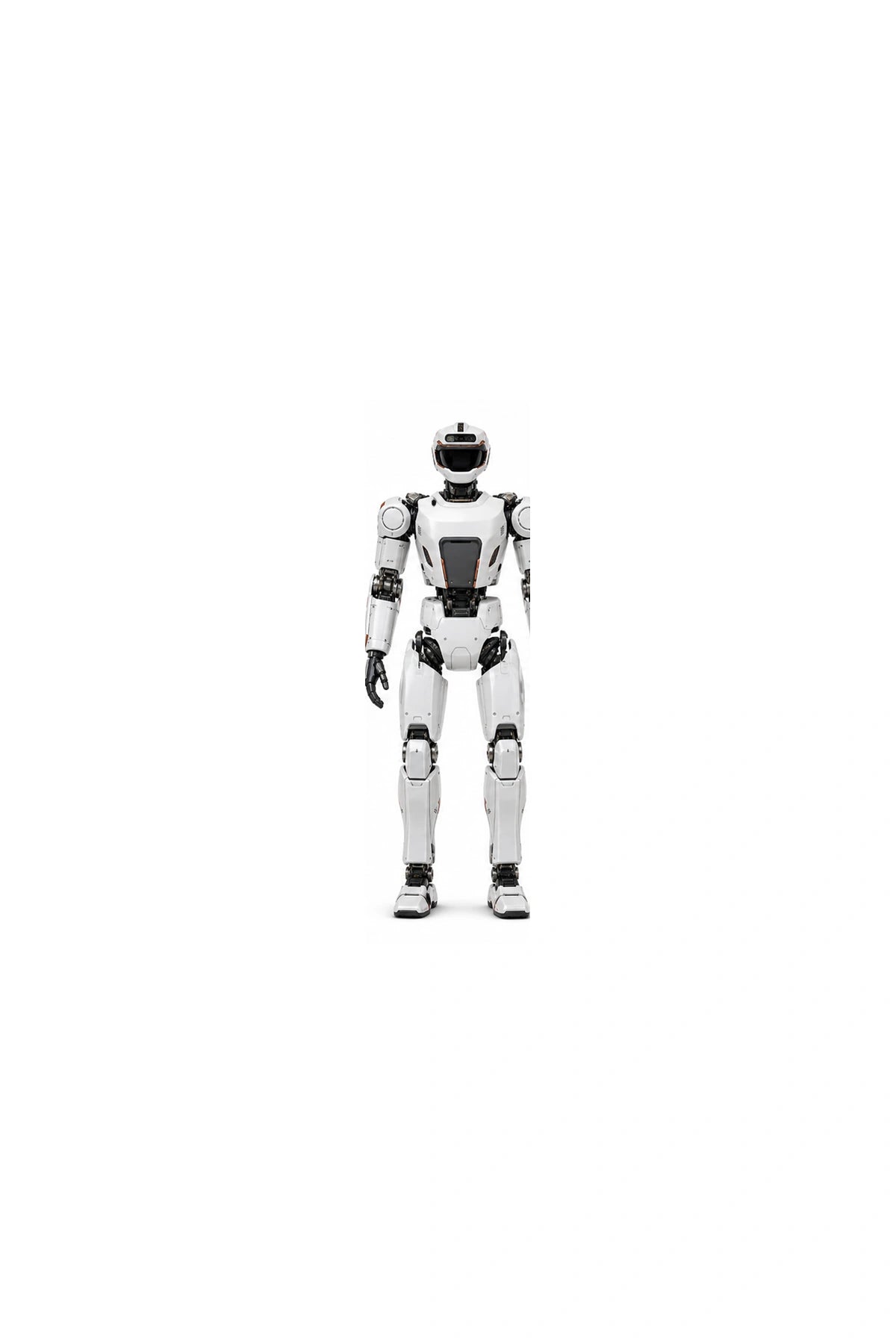 Valkyrie Front View