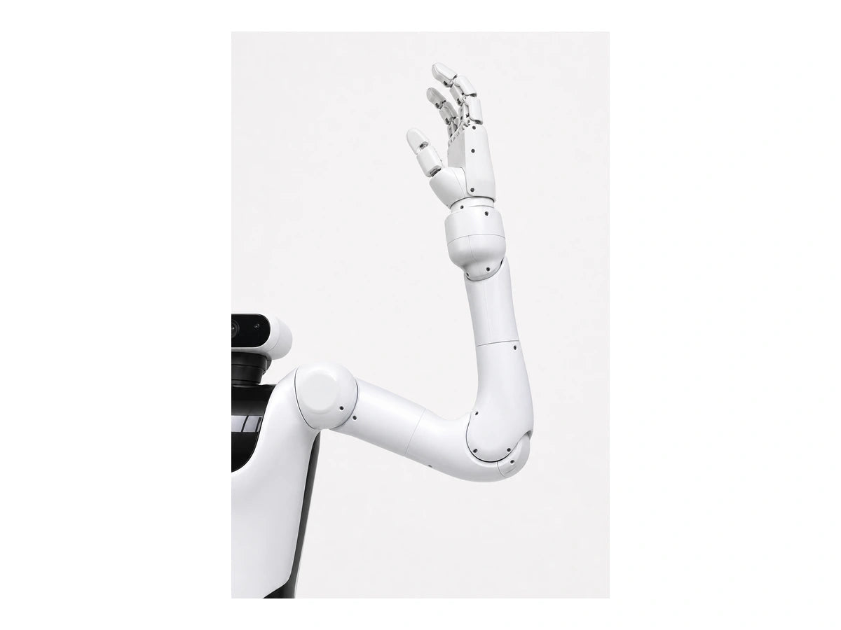 Vega Arm View