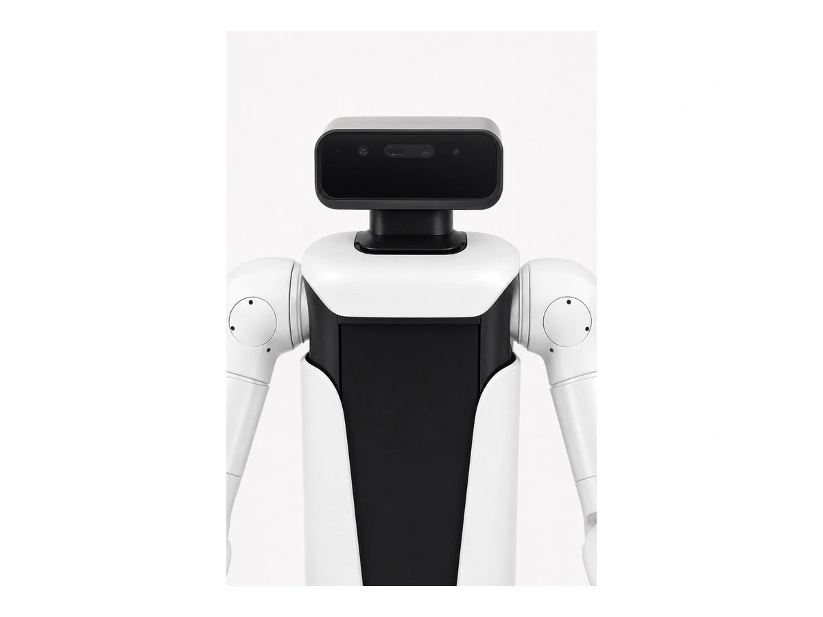 Vega Vega Head Display View