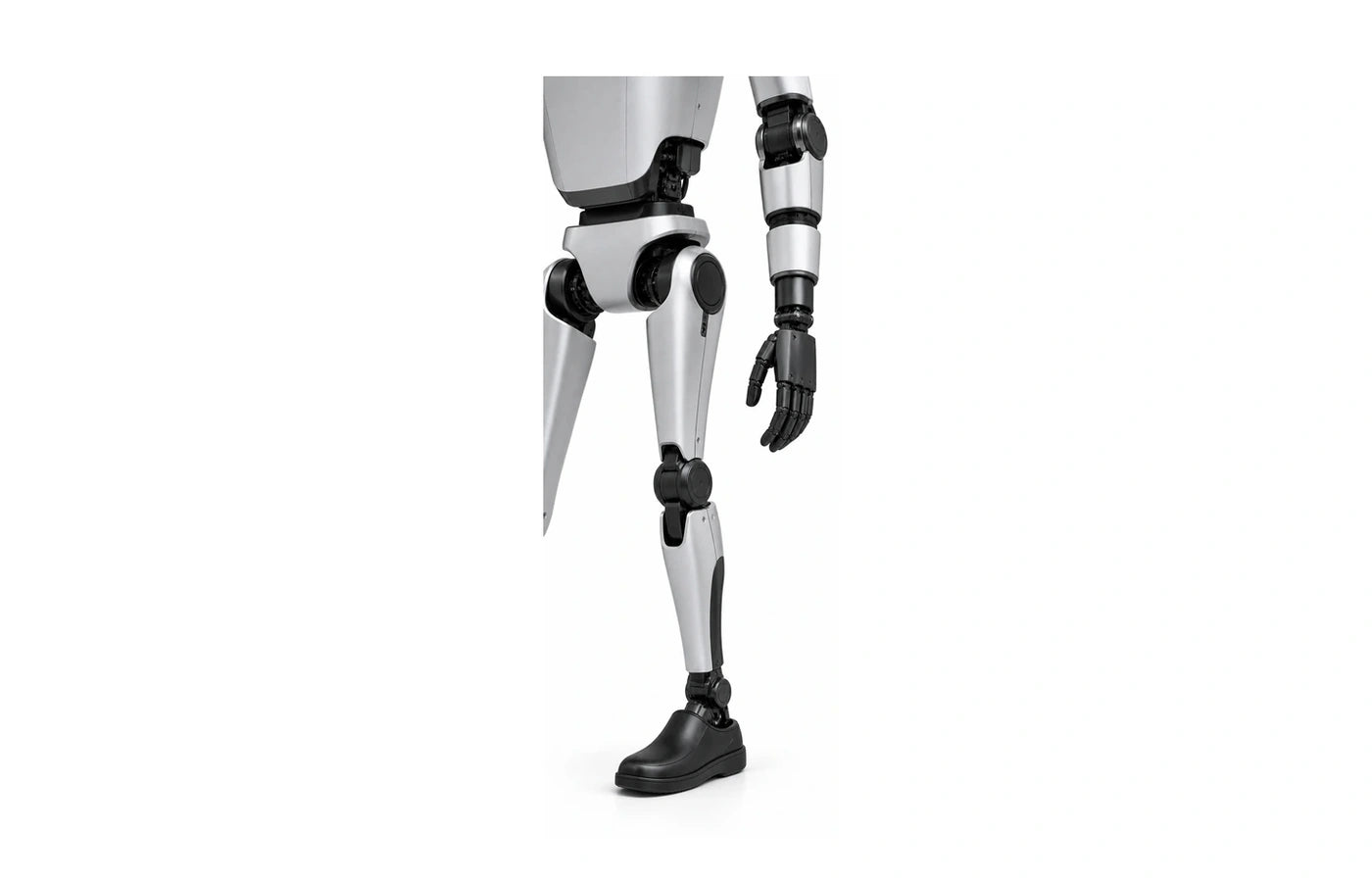 Walker S Leg detail