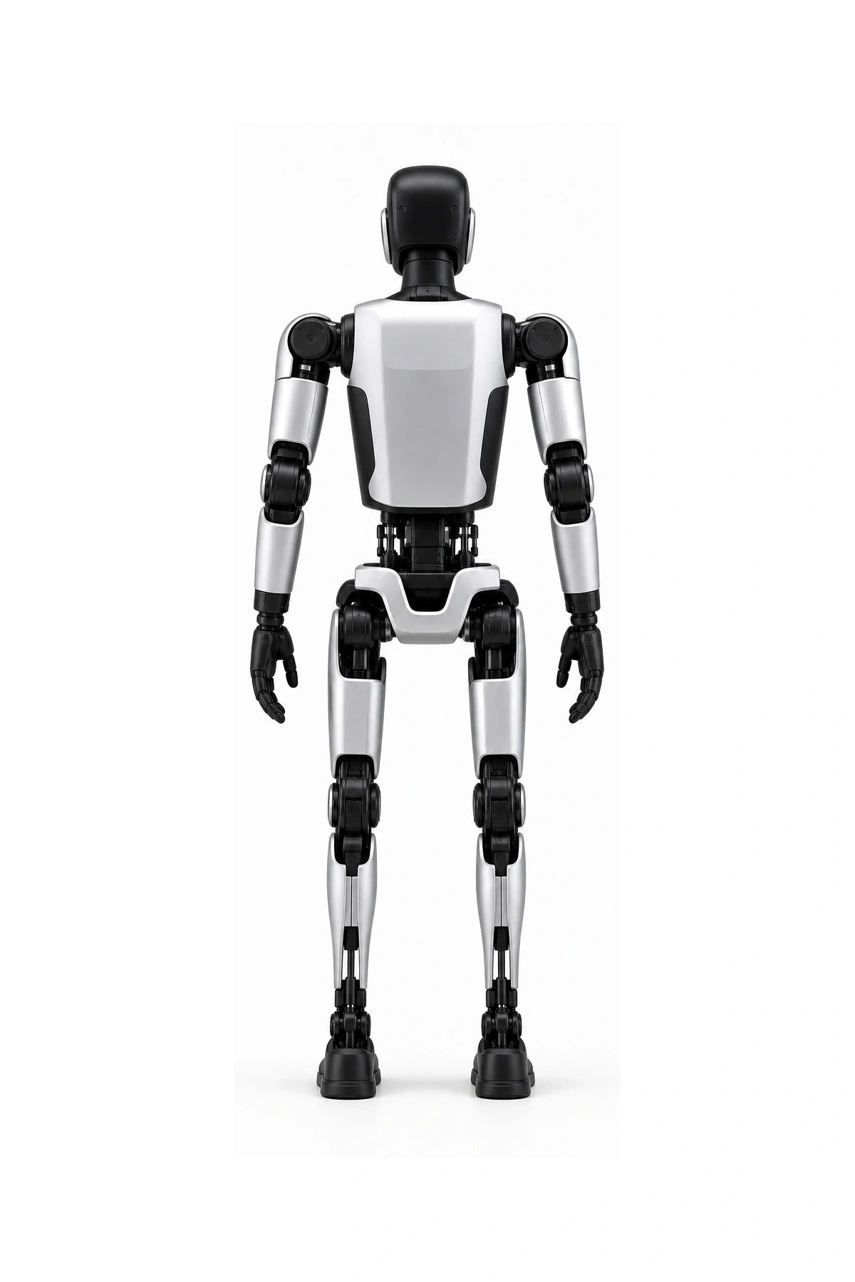 Walker X Rear/Back View