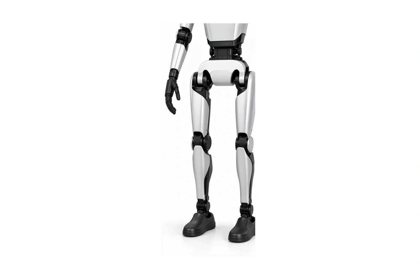 Walker X Arm detail