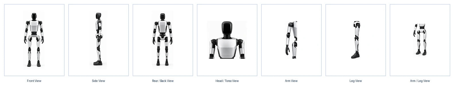 Walker X Landscape Image