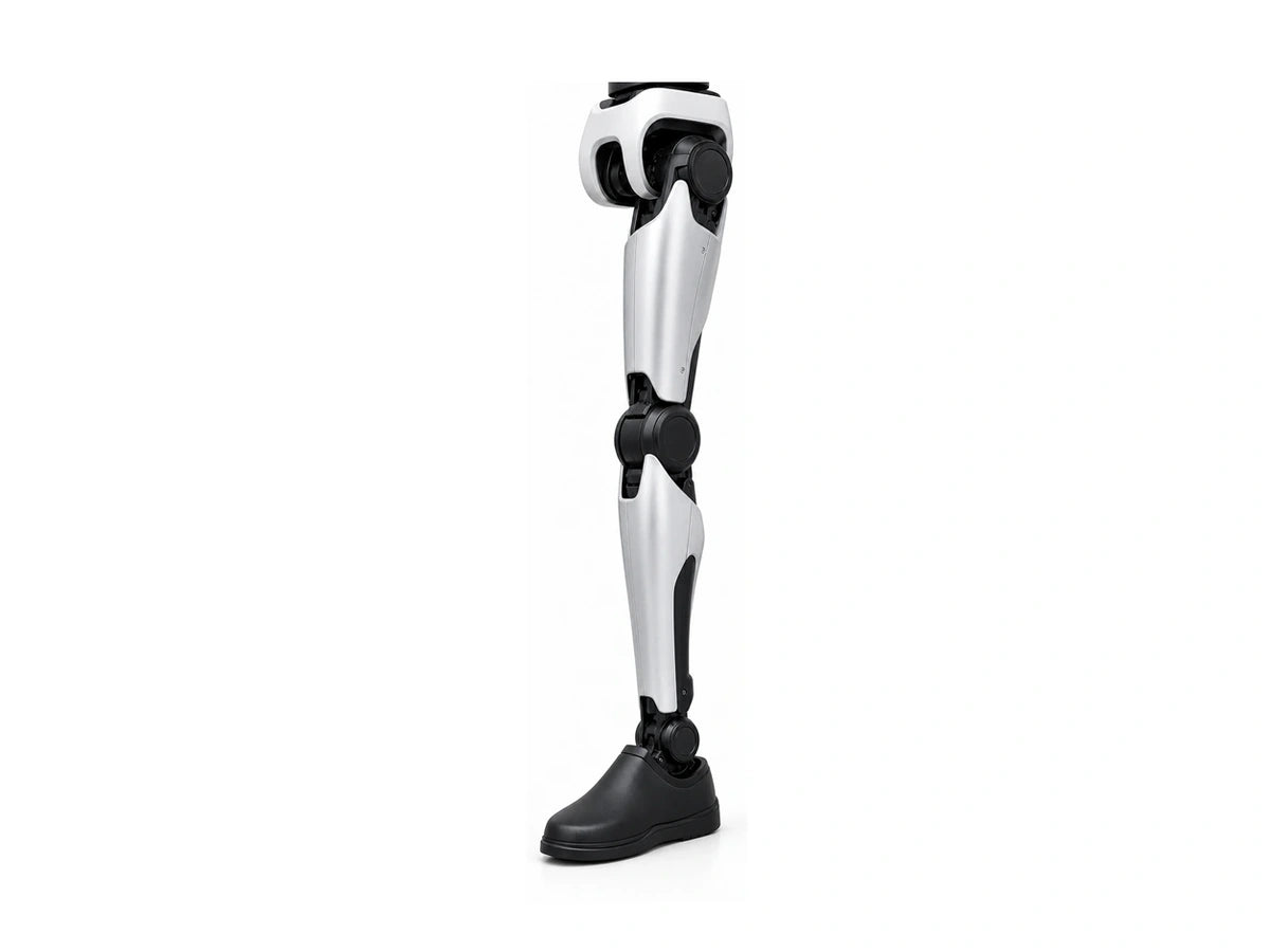 Walker X Leg View